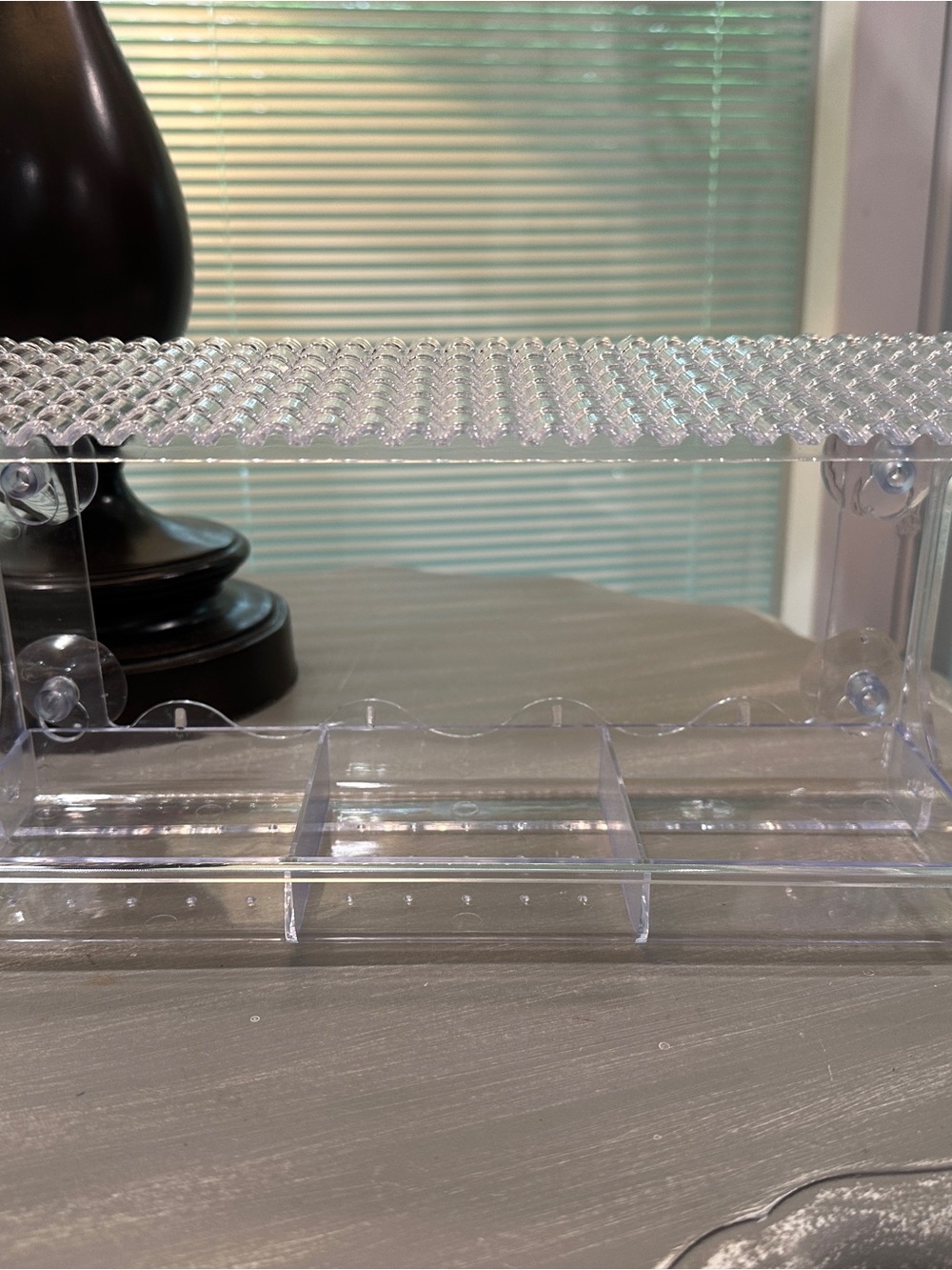 Clear Bird Window Feeder with suction cups - Transparent